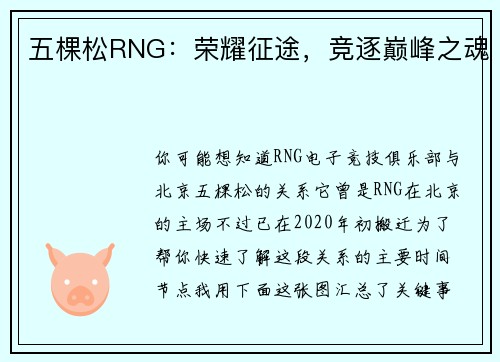 五棵松RNG：荣耀征途，竞逐巅峰之魂